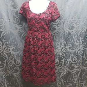 Torrid Lace Dress